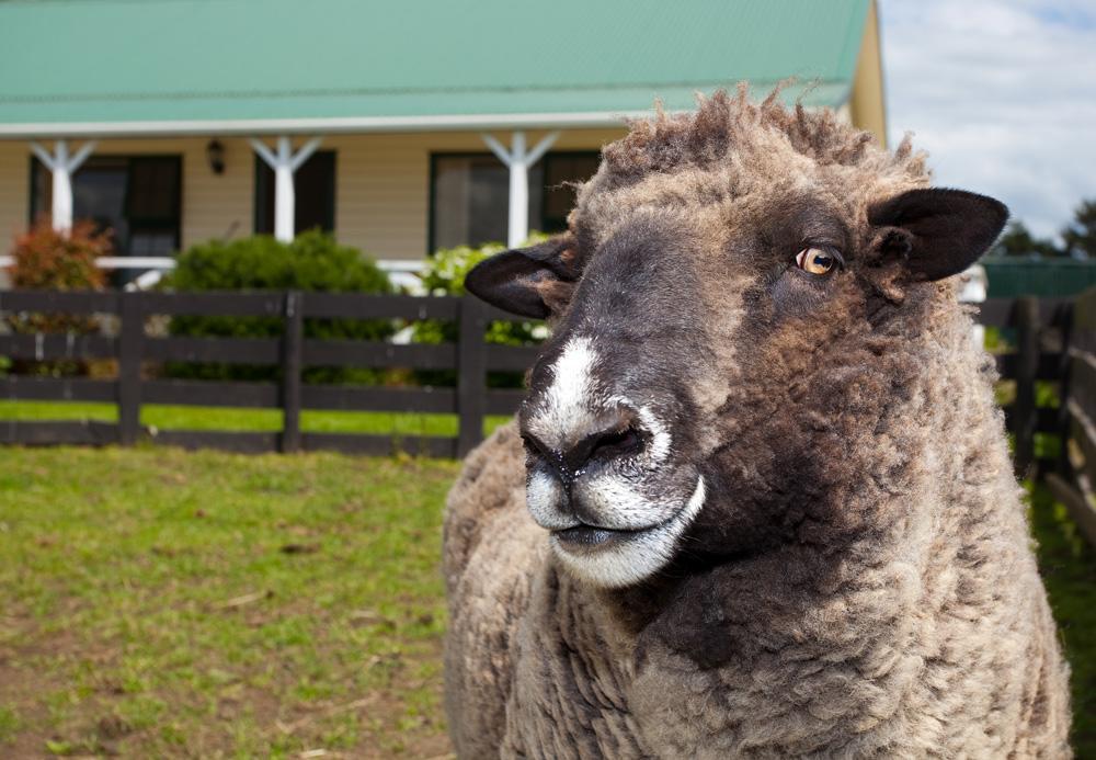 Kerry Lane Motel Hawera Dış mekan fotoğraf